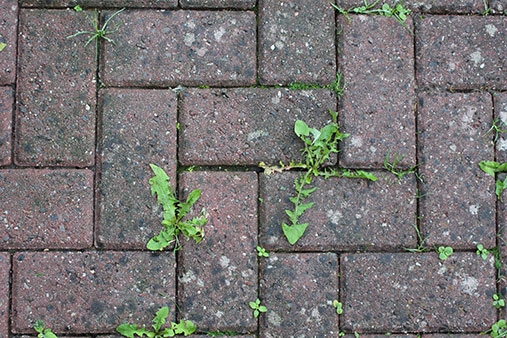 Driveway cleaning in Caterham - Before a clean